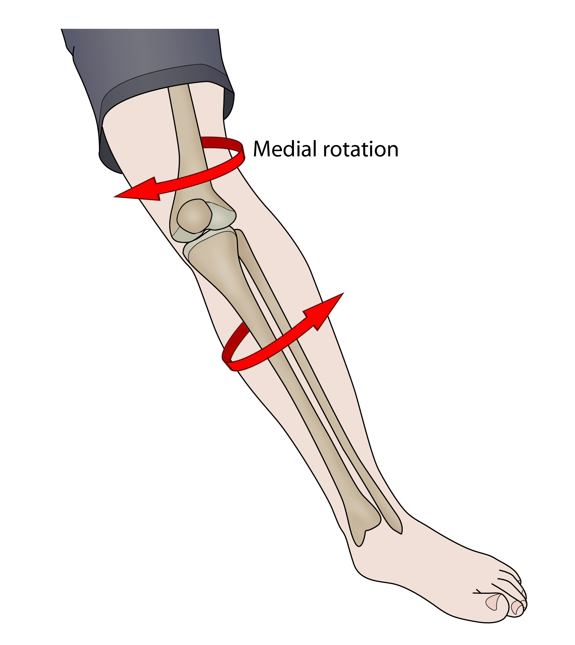 Sports Injury Bulletin Improve ACL rehabilitation when is your