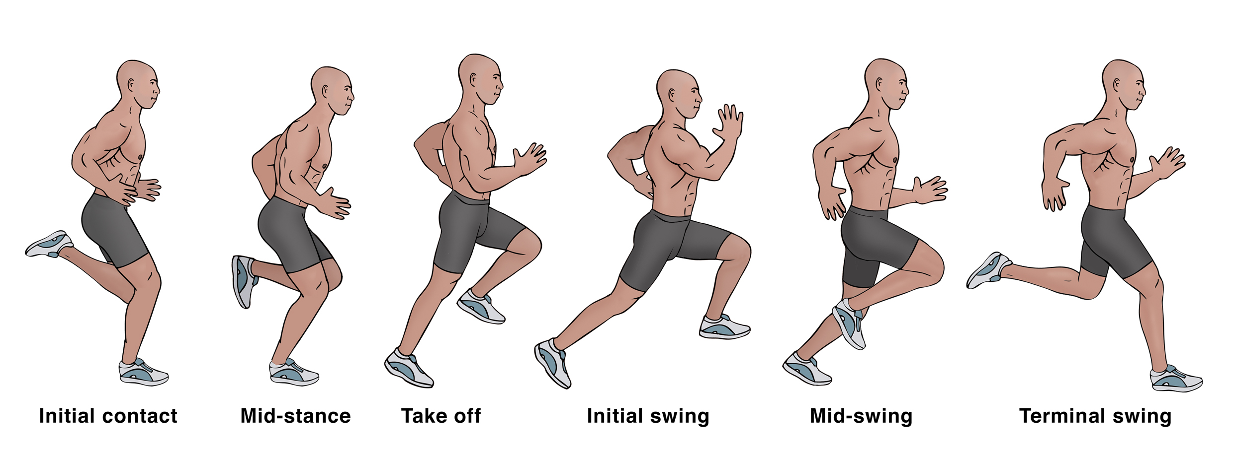 Sports Injury Bulletin - Diagnose & Treat - Acute Hamstring Injury ...